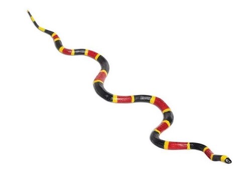Serpente Corallo Serpente Corallo