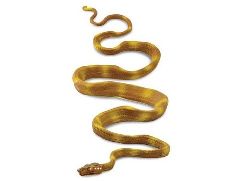 Serpente Boa Amazzone Serpente Boa Amazzone