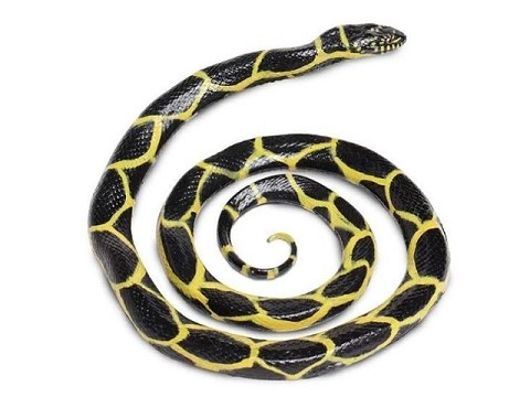 Serpente Reale Chain Serpente Reale Chain