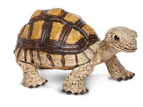 Tartaruga Tartaruga