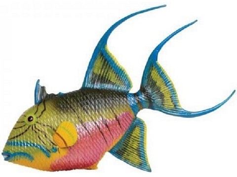 Pesce Balestra Pesce Balestra