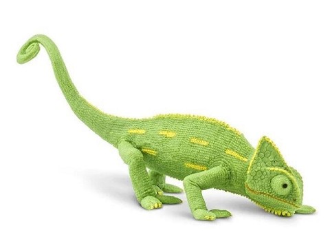 Camaleonte Cucciolo Camaleonte Cucciolo