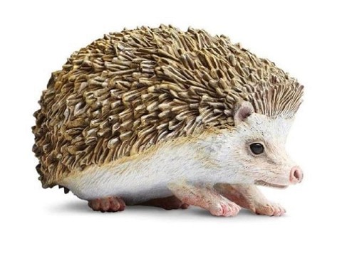 Riccio Riccio