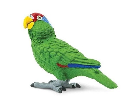 Pappagallo Verde Pappagallo Verde