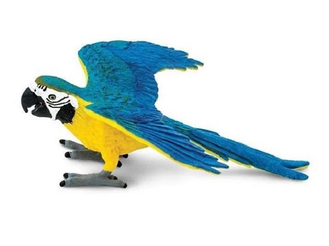 Pappagallo Ara Blu e Dorato Pappagallo Ara Blu e Dorato