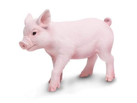 Porcellino Porcellino