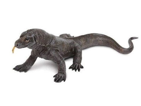 Drago di Komodo Drago di Komodo