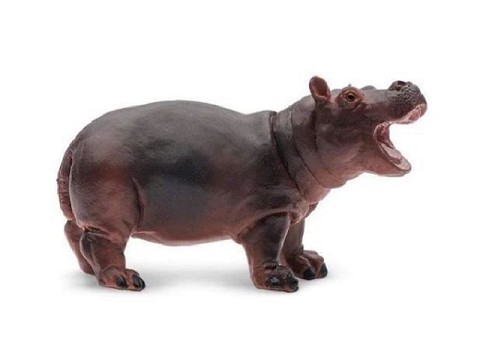 Ippopotamo Baby Ippopotamo Baby