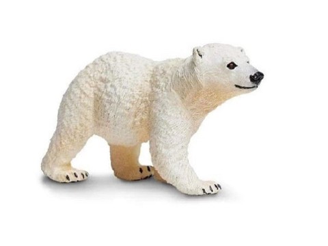 Orso Polare Cucciolo Orso Polare Cucciolo