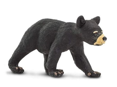 Orso Nero Cucciolo Orso Nero Cucciolo