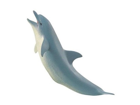 Delfino Delfino