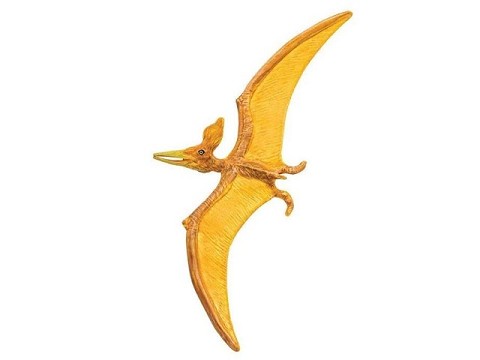 Pteranodon Pteranodon