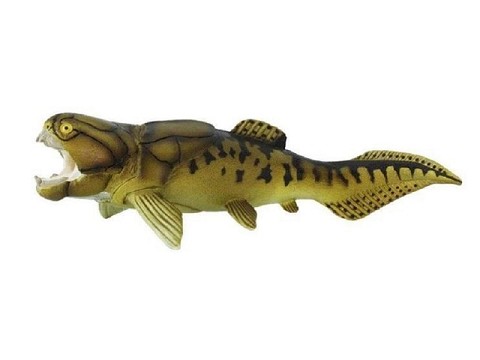 Dunkleosteus Dunkleosteus