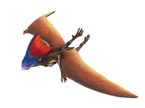 Tapejara Tapejara
