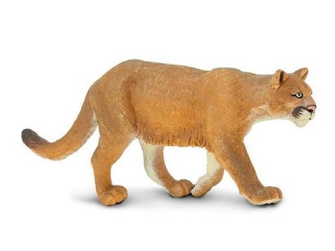 Puma Puma
