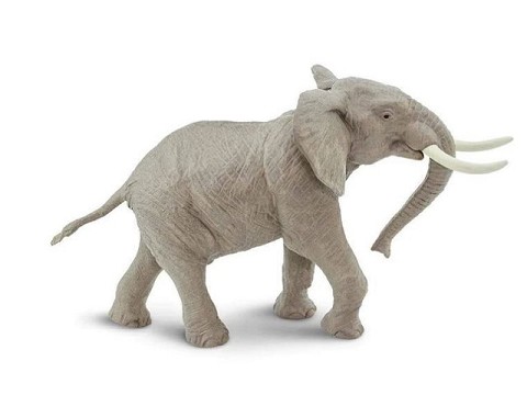 Elefante Africano Elefante Africano