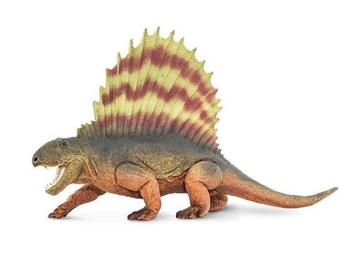 Dimetrodon Dimetrodon