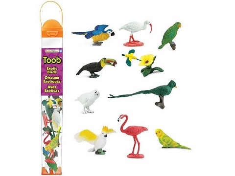 Tubo TOOB® Uccelli Esotici Tubo TOOB® Uccelli Esotici