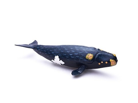 Balena Franca Balena Franca