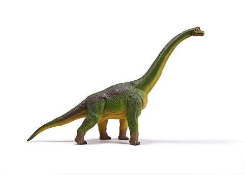 Brachiosaurus Brachiosaurus