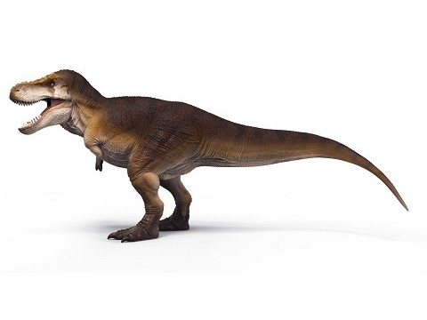 Tyrannosaurus Osborn Tyrannosaurus Osborn