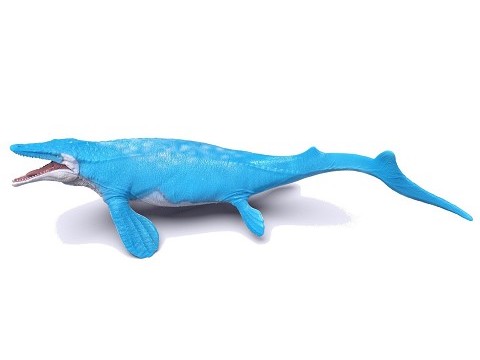 Mosasaurus Hoffmann Mosasaurus Hoffmann
