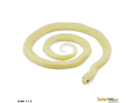 Serpente Reale Fosforescente Serpente Reale Fosforescente