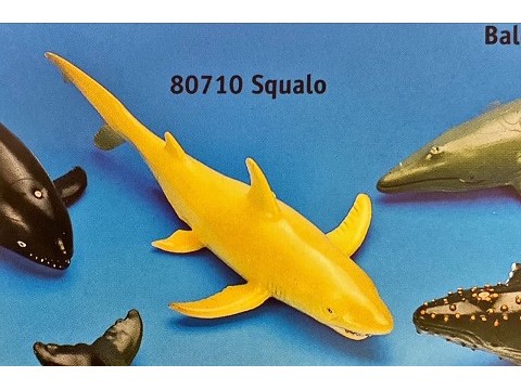 Squalo Tigre Squalo Tigre