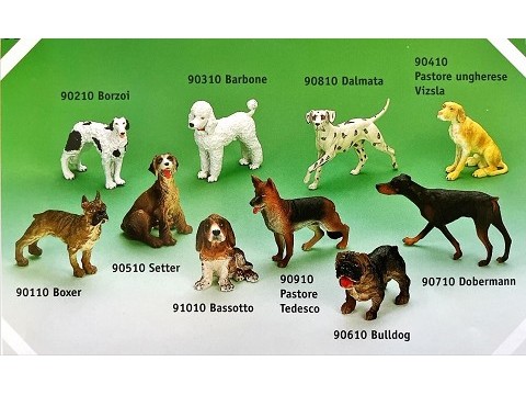 Cane Barbone Cane Barbone