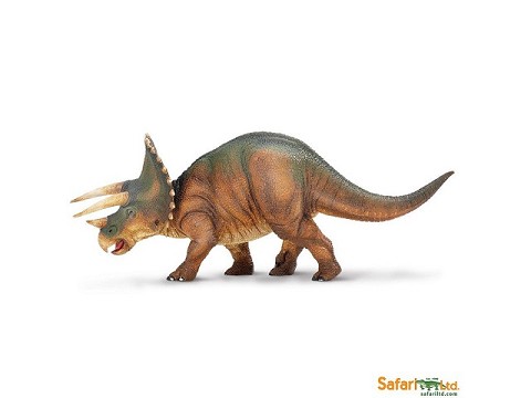 Triceratops Triceratops