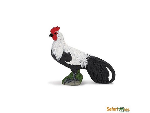 Gallo Phoenix Gallo Phoenix