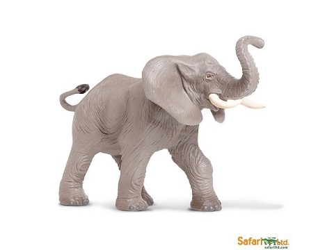 Elefante Africano Elefante Africano