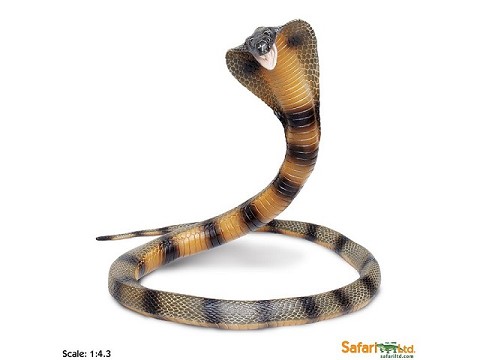 Cobra Cobra