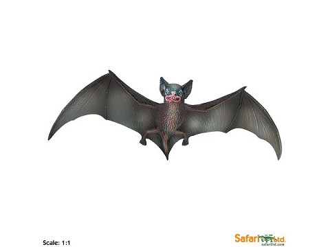 Pipistrello Pipistrello