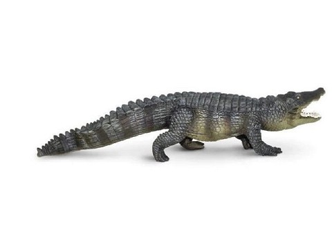Coccodrillo Marino Coccodrillo Marino