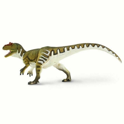 Allosaurus (cm 24)