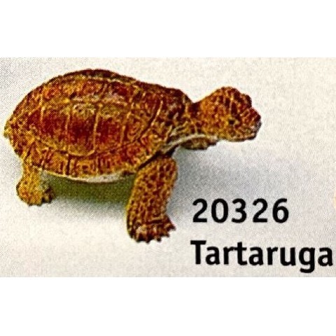 Tartaruga