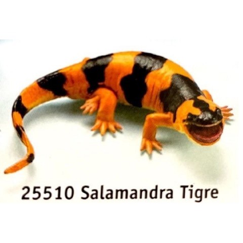 Salamandra Tigre