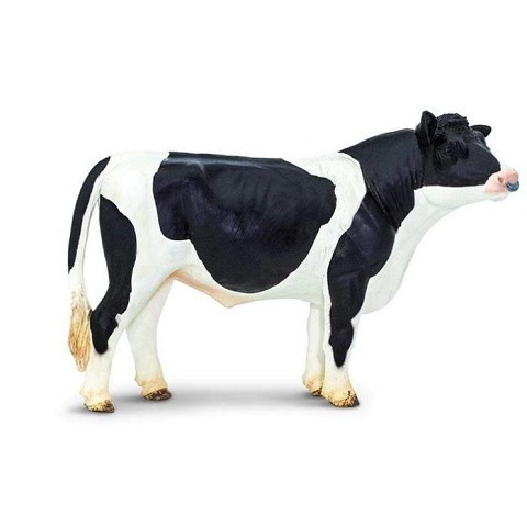Toro Holstein