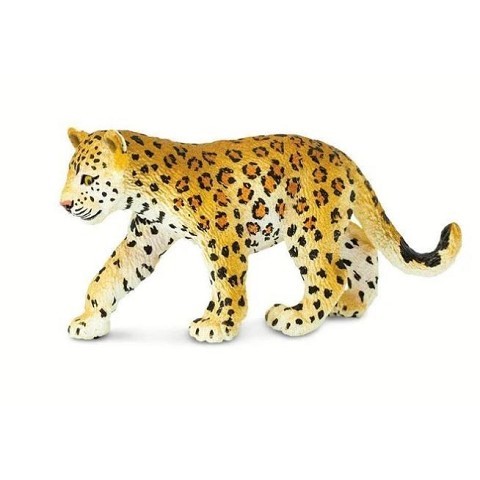 Leopardo Cucciolo
