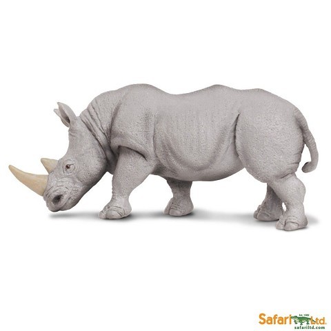 Rinoceronte Bianco