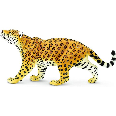 Giaguaro