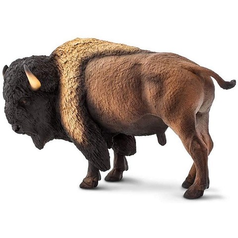 Bisonte