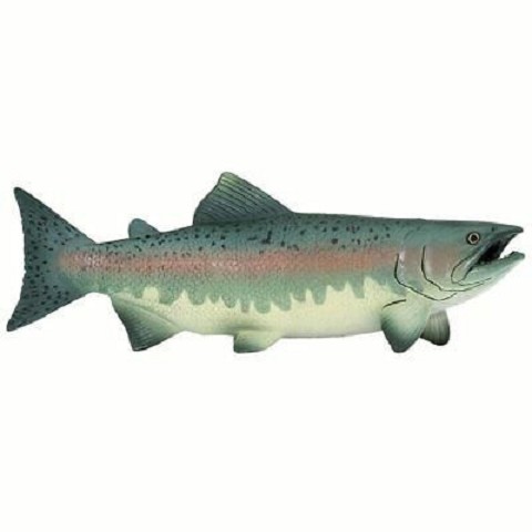 Salmone