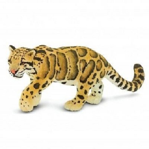 Leopardo
