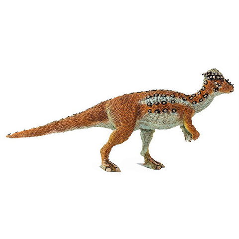 Pachycephalosaurus