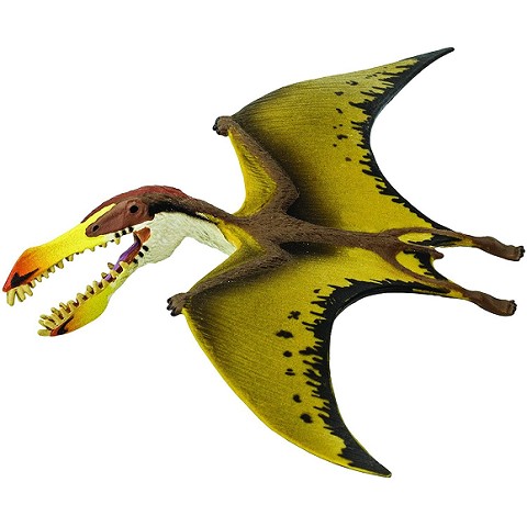 Pterosaur