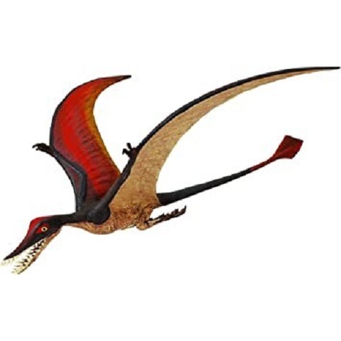 Rhamphorrhynchus