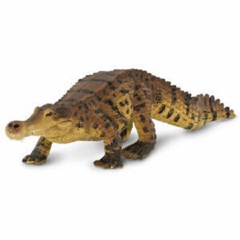 Sarcosuchus