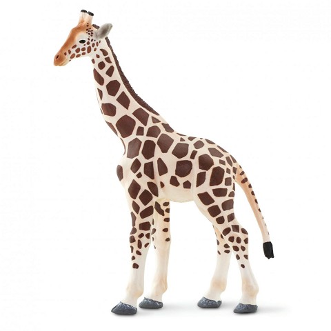 Giraffa
